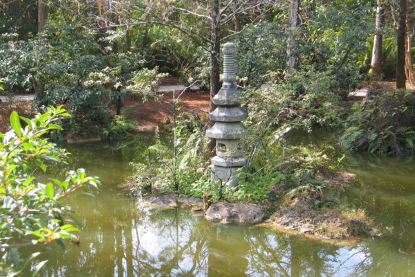Zen Pond